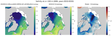 ANN Salinity