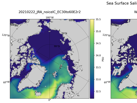 Arctic Salinity