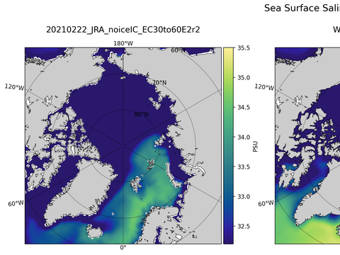 Arctic Salinity