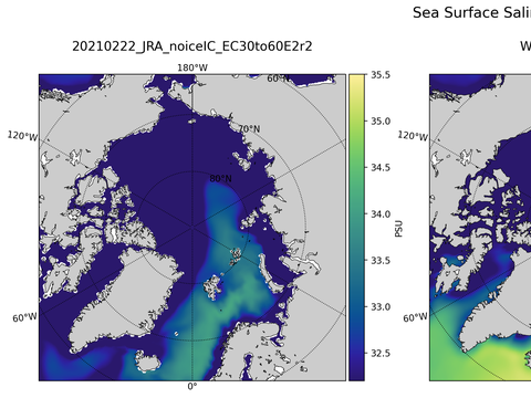 Arctic Salinity