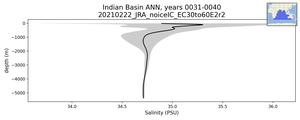 Indian Basin Salinity vs depth