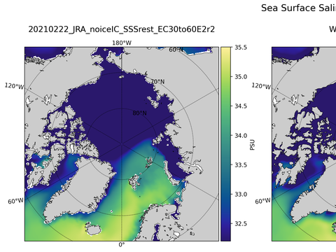 Arctic Salinity
