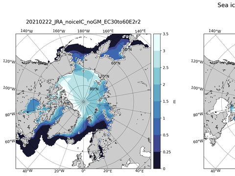 Northern-Hemisphere Sea-Ice Thickness