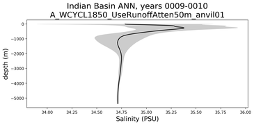 Indian Basin Salinity vs depth