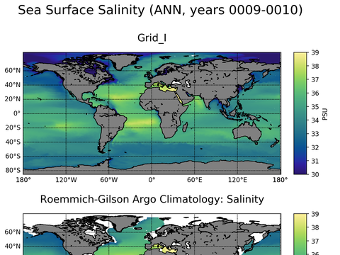 Global Argo Salinity