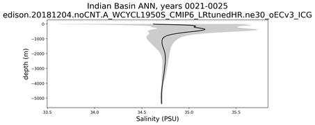 Indian Basin Salinity vs depth