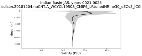 Indian Basin Salinity vs depth