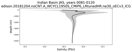 Indian Basin Salinity vs depth