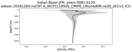 Indian Basin Salinity vs depth