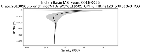 Indian Basin Salinity vs depth