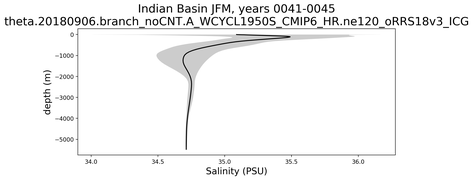 Indian Basin Salinity vs depth