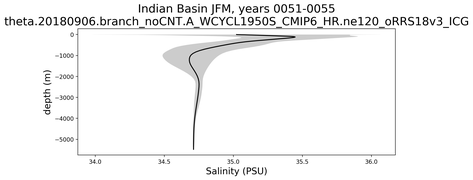 Indian Basin Salinity vs depth