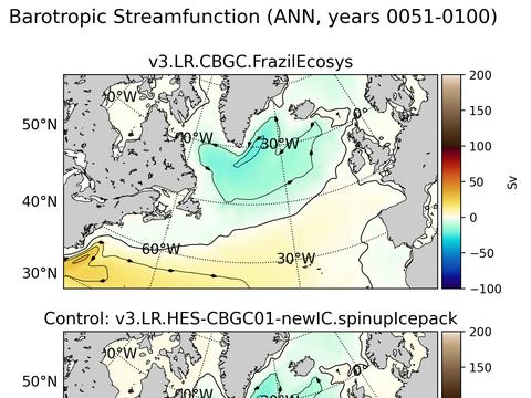 Subpolar North Atlantic Horizontal Streamfunction
