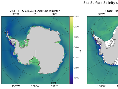 Antarctic Salinity