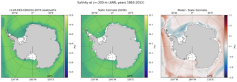 ANN Salinity
