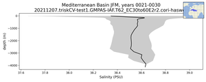 Mediterranean Basin Salinity vs depth