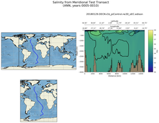 ANN Salinity from Meridional Test Transect