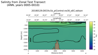 ANN Salinity from Zonal Test Transect
