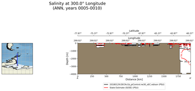ANN Salinity at 300.0$\degree$ Longitude ANN