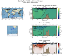 ANN Salinity from WOCE A12 Prime Meridian ANN