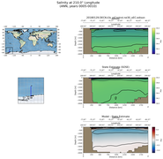 ANN Salinity at 210.0$\degree$ Longitude ANN
