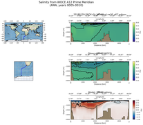 ANN Salinity from WOCE A12 Prime Meridian ANN