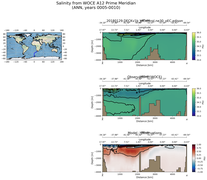 ANN Salinity from WOCE A12 Prime Meridian ANN