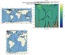 ANN Salinity from Meridional Test Transect