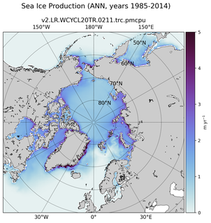 ANN ANN Climatology Map of Northern-Hemisphere Sea Ice Production