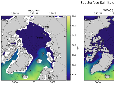 Arctic Salinity