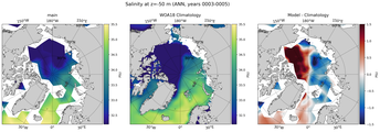 ANN Salinity