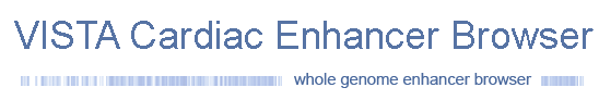 Enhancer Browser banner
