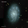 NGC4635