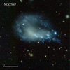 NGC7667