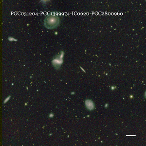 PGC031204-PGC1399974-IC0620-PGC2800960