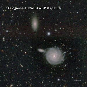 PGC036003-PGC1021894-PGC1022421