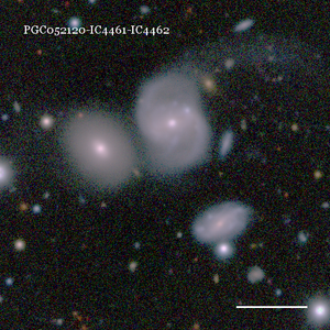 PGC052120-IC4461-IC4462