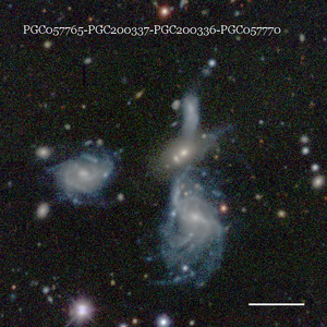 PGC057765-PGC200337-PGC200336-PGC057770