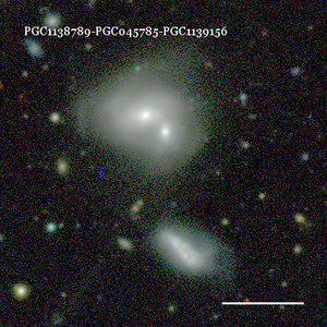 PGC1138789-PGC045785-PGC1139156