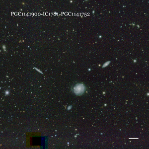 PGC1141900-IC1781-PGC1141752
