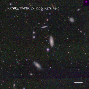 PGC183477-PGC1041269-PGC117446