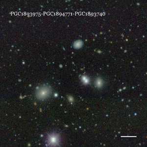 PGC1893975-PGC1894771-PGC1893740