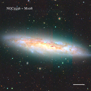 NGC3556 = M108