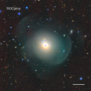 NGC3619