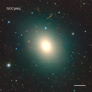 NGC3665