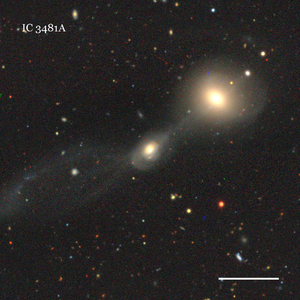 IC 3481A
