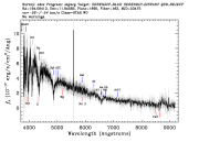 1695-53473-0163