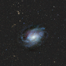 https://portal.nersc.gov/project/cosmo/data/sga/2020/html/013/NGC0300_GROUP/thumb2-NGC0300_GROUP-largegalaxy-grz-montage.png