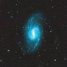 https://portal.nersc.gov/project/cosmo/data/sga/2020/html/161/NGC3359/thumb2-NGC3359-largegalaxy-grz-montage.png
