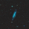 https://portal.nersc.gov/project/cosmo/data/sga/2020/html/184/NGC4236_GROUP/thumb2-NGC4236_GROUP-largegalaxy-grz-montage.png